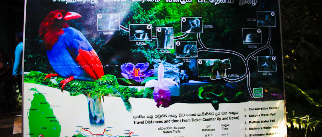 Sinharaj Rainforest